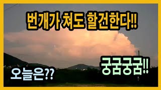 새로움을 경험해보는 비씨즌의 등화채집은 어떨까요?? 번개가 번쩍번쩍~!! 하지만 만천은 곤충채집에 열쭝~!!