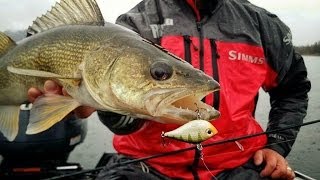 Minnesota Walleye Open near Leech Lake - In-Depth Outdoors TV Season 8, Episode 25