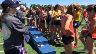 2015 PIAA Track and Field Championships