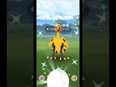 Can Pachirisu be shiny?