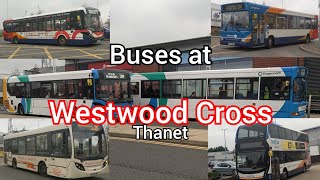 Buses at Westwood Cross (Thanet) 2022