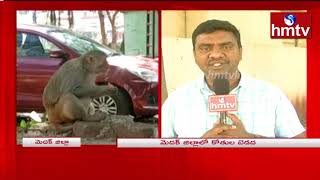 Monkeys Tension in Medak District | Mana Ooru Mana Varthalu | hmtv