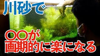 自作ソイル！？  川砂を混ぜると凄まじく〇〇が楽になる 水草水槽【アクアリウム】