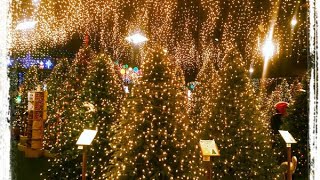 Roberts wonderland Christmas store in Clearwater Florida beautiful video of inside a store