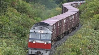 2018.09.22 撮影　黄葉 常紋峠　玉ねぎ列車　☆北鉄路漫463