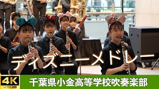 小金高等学校吹奏楽部 in LIVE！横浜2024プロムナードコンサート（2024.11.10）