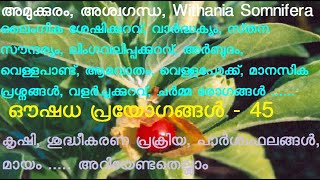 അമുക്കുരം | അശ്വഗന്ധ | Withania Somnifera | അമുക്കിരം | പീവെട്ട | പിവട്ട | Ashwagandha | amukkuram