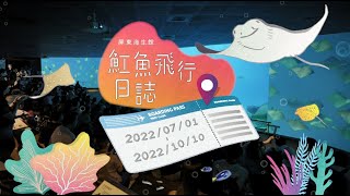 屏東海生館2022暑期活動【魟魚飛行日誌】｜三立新聞網 SETN.com