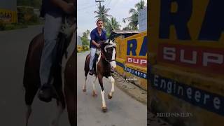 💥♥️|Horse Riding|Kl 40 perumbavoor|@RIDERSISTERS|#shorts #horseriding