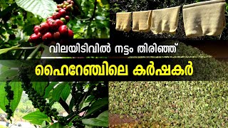 കാർഷികോത്പന്നങ്ങളുടെ വിലയിടിവിൽ നട്ടം തിരിഞ്ഞ് ഹൈറേഞ്ചിലെ കർഷകർ