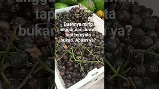 buah apa? mirip anggur dan Duwet, tapi bukan! ternyata berkhasiat menjaga asam lambung #gowok #unik