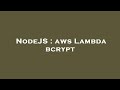NodeJS : aws Lambda bcrypt