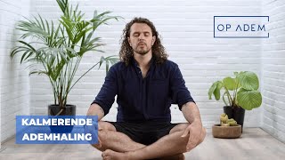 Kalmerende ademhaling ∙ Op Adem.com