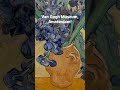 van gogh museum amsterdam vangoghmuseum vangogh youtubeshorts