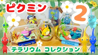 【新登場 !!】ピクミン テラリウムコレクション2 発売 !! #pikmin #nintendo