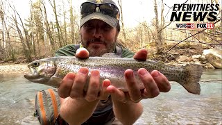 Wild Appalachia: Rainbow Trout Spawning