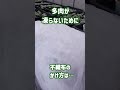 s60【多肉が枯れないために】不織布のかけ方、外すタイミング。