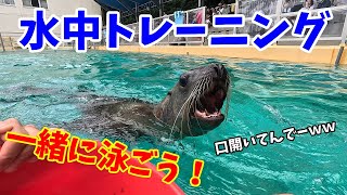 ニコちゃんと水中トレーニング！【トド】