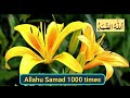 allah hu samad zikr 1000 times