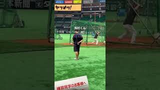 【プロ野球】【楽天イーグルス浅村選手】の試合前バッティング練習【貴重映像】