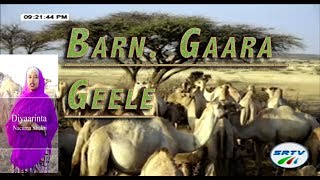 SRTV Barn. Gaara | Geele