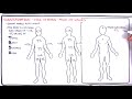 Burns (DETAILED) Overview - Types, Pathophysiology, TBSA