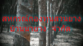 สหกรณ์กองทุนสวนยางบ้านนายาง  จำกัด