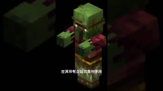 #minecraft 殭屍村民 #麥塊 #我的世界