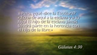 Reavivados por su Palabra - 16/4/2015 - Gálatas 4