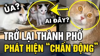 Trở lại thành phố, thanh niên PHÁT HIỆN hàng loạt 'BẤT NGỜ' trong căn nhà của mình | Tin 3 Phút