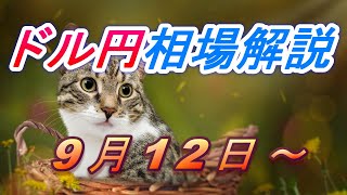 【TAKA FX】ドル円為替相場の今週の動きと来週の展望をチャートから解説。日経平均、NYダウ、金チャートも。9月12日～