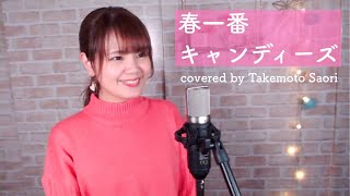 【cover】春一番  /  キャンディーズ