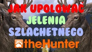 TheHunter- Poradnik jak upolować pierwszego jelenia szlachetnego