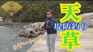 【熊本 堤防】天草の堤防からいろんな釣りをしてみた結果...うまい魚ゲット！？ww