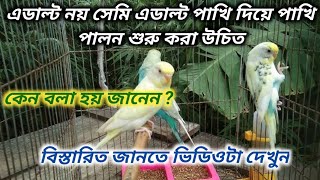 এডাল্ট নয় সেমি এডাল্ট পাখি দিয়ে পাখি পালন শুরু করা উচিৎ || এর কারণ কি ? #birds #birdslover