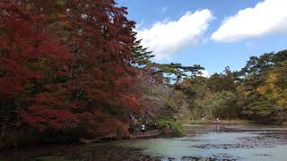 神戸森林植物園4K