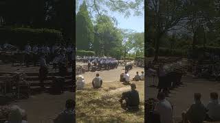 「森の音楽会」柏市立柏高等学校（１年生）in 柏の葉公園 2024　＃吹奏楽＃音楽＃市立柏