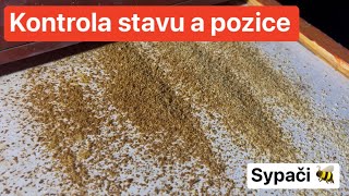 Kontrola stavu, pozice a spadu mrtvolek ve včelstvech i oddělcích 3 týdny od pokapu šťavelkou