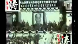 华国锋主席在毛主席追悼大会上致悼....flv