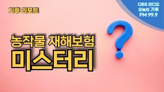 [기후리포트] 농작물 재해보험 미스터리 / 기후톡파원 신경호님 봄소식