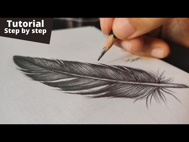 Feather Drawing Tutorial