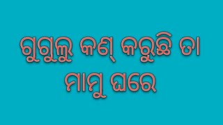 ମାମୁ ଘରେ ଗୁଗୁଲୁ କଣ୍ କରୁଛି .....🤩🤩