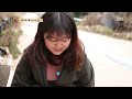 다시 만난 섬마을 강아지 ‘루비’ @tv 동물농장 20170129