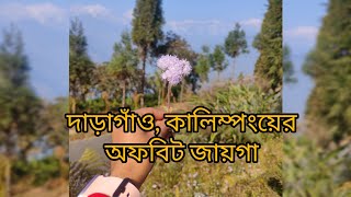 কালিম্পং শহরের একটি অফবিট গ্রাম, দাড়াগাঁও, দারুণ জায়গা 😍 | Priyanka Bose