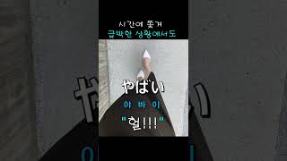 08.일본어 만능 표현 4탄_한국말의 \