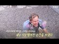 귀여운 강아지들 공격에 정신이 아찔한 아빠