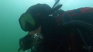 Scuba diving is just so relaxing, cold water scuba diving in Denmark.