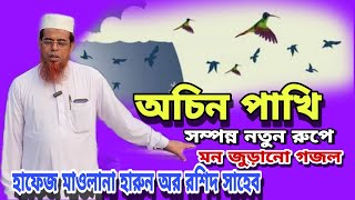 অচিন পাখি যাবি উরে। মন জুড়ানো গজল। হাফেজ মাওলানা হারুন অর রশিদ সাহেব