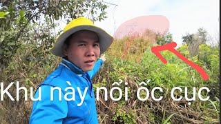 Cú sốc đầu năm quá phê