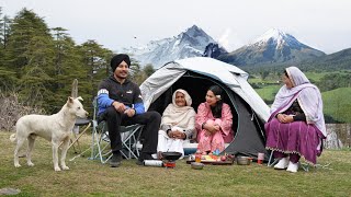 Camping On Mountain With Grandmother 😍❤️ | Nature And Peace 🕊️ | Harman Khosa |